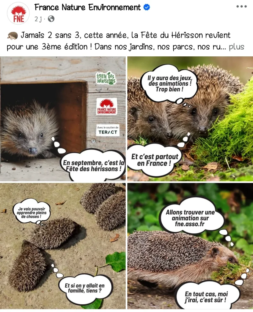 4 jours pour préserver ces adorables boules qui piquent. 

Site Web Accessible pour connaître le programme. 

Article et les 4 photos, trouvé chez InstaBouc. 

Auteur :
FranceNatureEnvironnement