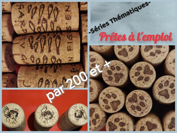 Par 200 en série Thématique disponible