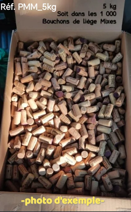 ~1000 bouchons Petit Model Mixte