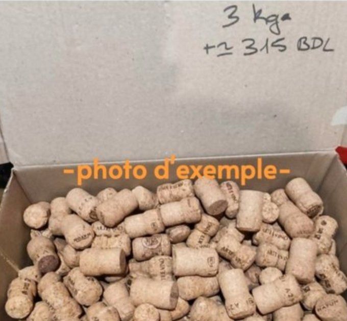 ~105 ou 315 Bouchons Gros model Mixte