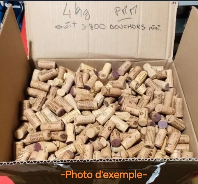 ~800 bouchons Petit Model Mixte