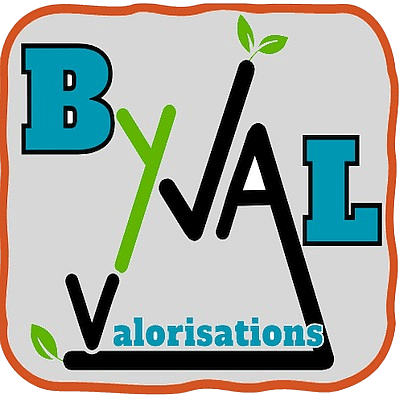 byvalorisations.fr